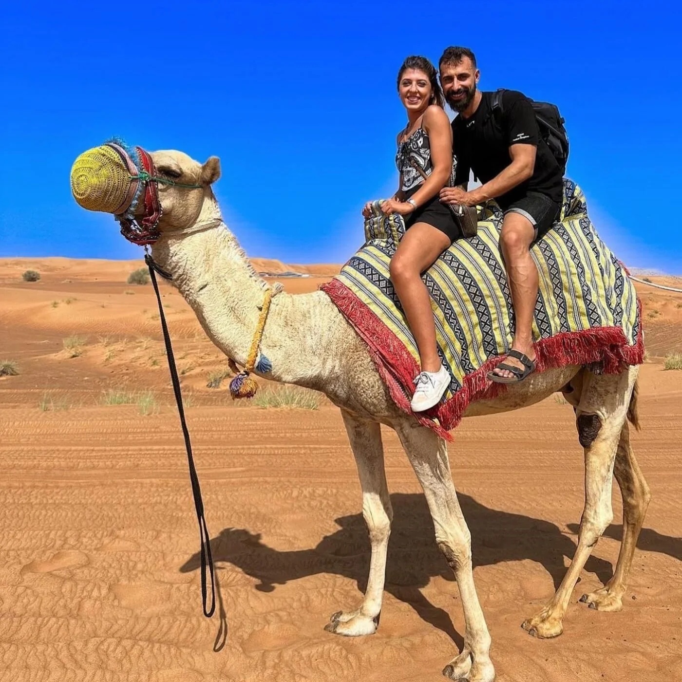 86b98609-ea10-44f5-b402-72c8adec4aa4-e1714225465513